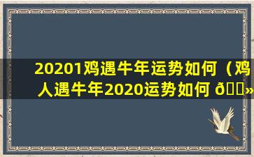 20201鸡遇牛年运势如何（鸡人遇牛年2020运势如何 🌻 ）